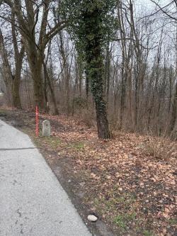 Crossdresser sucht Mann BS-BL in Binningen - Bild 1
