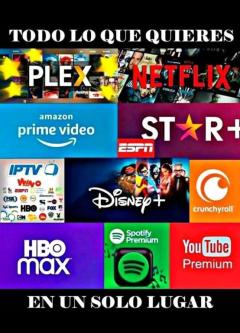 Netflix, Disney and Other Accounts63835217392513120