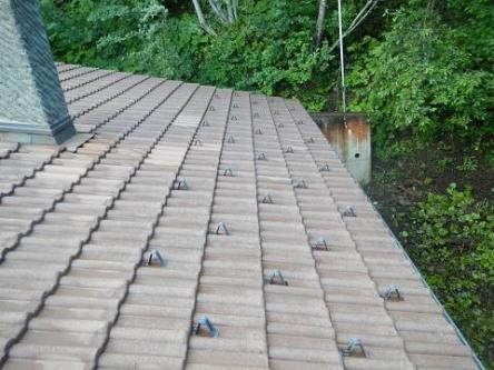 Dach .Terrassen .Fassadenreinigung Von Moss in Dietikon - Bild 4