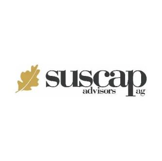 Data Analyst / Controller in Zürich - Bild 1