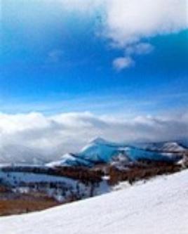 Der Schnee ist schon lange wieder weg in Solothurn - Bild 1