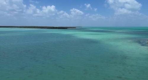 Desarrollos Inmobiliarios, Mérida63837083694721121