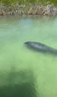 Desarrollos Inmobiliarios, Mérida63837083694721123