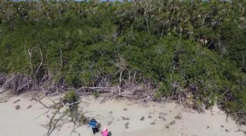 Desarrollos Inmobiliarios, Mérida63837083694721122