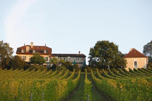 Domaine de Chateauvieux in der Schweiz - Bild 1