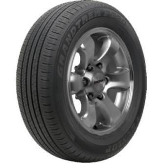 Dunlop Grandtrek PT30 225/65 R17 102H in Thun - Bild 1