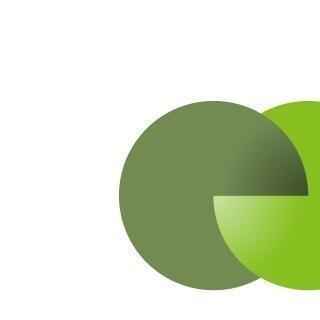 ERP Application Manager in Risch - Bild 1