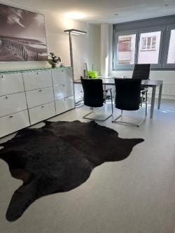 Ein wunderschönes Büro am Rhein 95 m² , Basel 4052 in Basel - Bild 16