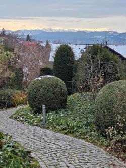 Er sucht sympathische Sie in Zürich - Bild 1