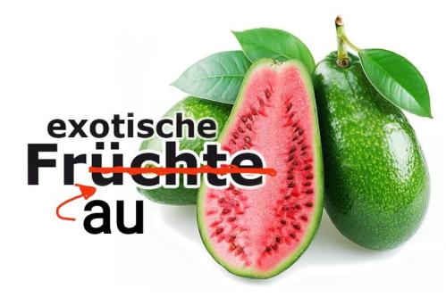 Exotische Frau gesucht... in Luzern - Bild 1