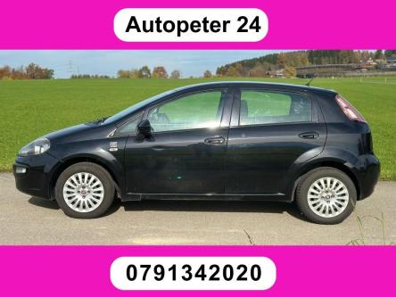 FIAT Punto Evo 1.4 MyLife in Hünenberg - Bild 1