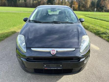 FIAT Punto Evo 1.4 MyLife in Hünenberg - Bild 2