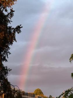 FTM Transmann bietet fun an gegen TG in St. Gallen - Bild 1