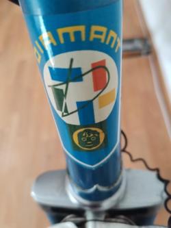 Fahrrad Diamant 75 Jahre Unikat in Willisau - Bild 5