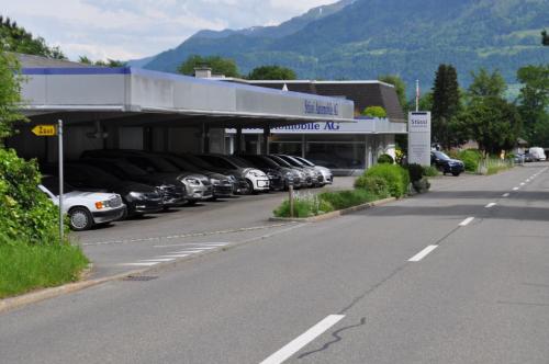 Fahrzeugreparaturen zum fairen Preis in Schübelbach - Bild 3