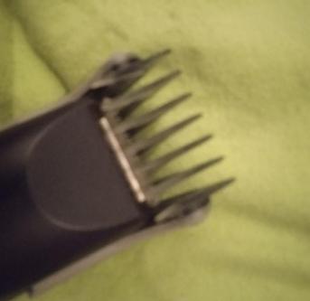 Frauen bekommen einen gratis Haarschnitt untenrum in Solothurn - Bild 2
