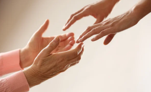 Fürsorgliche Begleitung u liebevolle Umsorgung bei ihnen Zuhause in Luzern - Bild 1