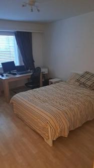 Furnished 2.5 room apartment for rent in the heart of Zug in Zug - Bild 5