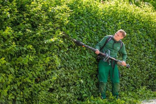 Gartenarbeit, Rasenmähen, Hecken schneiden, Baum pflegen fällen in St. Gallen - Bild 1