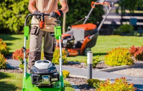 Gartenarbeit, Rasenmähen, Hecken schneiden, Baum pflegen fällen in St. Gallen - Bild 3