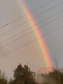 Geborgenheit ist die Heimat der Seele in Zug - Bild 1
