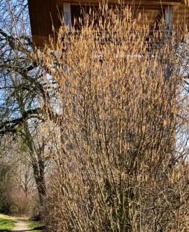 Geiles Vergnügen auf dem Turm in Grenchen - Bild 1