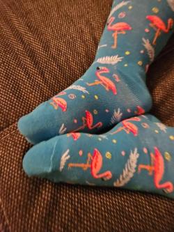 Getragene Socken. Slips in Bern - Bild 6