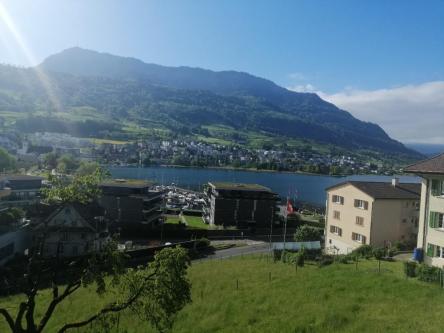 Gut bestückter Aktiv, neu in Luzern sucht einen Passiv in Davos - Bild 1