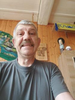 Hallo zame ich suche eine geile versaute stute in Willisau - Bild 1