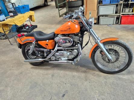 Harley Davidson Sportster 883 in Wald - Bild 2