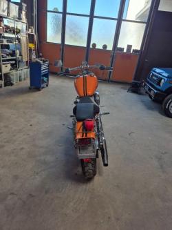 Harley Davidson Sportster 883 in Wald - Bild 3