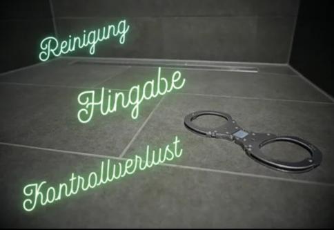 Haushaltsdienste (M/W/P) für DOM in Kreuzlingen - Bild 2