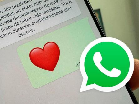 PRIVATE INVESTIGATOR IN DURANGO, Durango63835303778689120