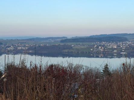 Ich bin neu im Seetal... in Reinach - Bild 1