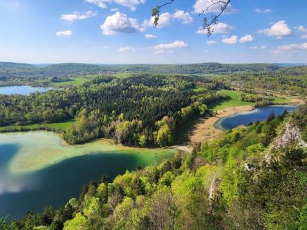 Ich spüre den Frühling, wer hat Lust auf ein Abenteuer in Bern - Bild 1