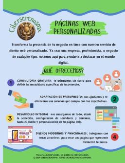 Boost your business with a professional website, Tijuana63837108104451120