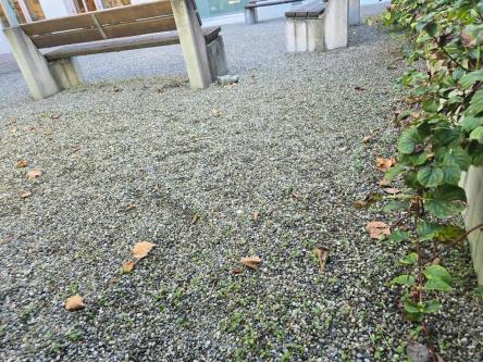 In Demut und Vertrauen in Langenthal - Bild 1
