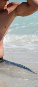 Junger Callboy Buchs SG in Buchs - Bild 1