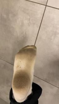 Junger Herr sucht Sklaven in Gränichen - Bild 1