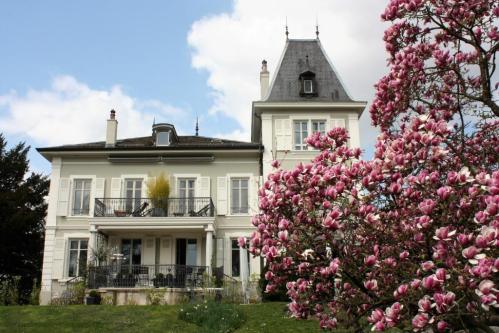 La Maison d'Igor in Adliswil - Bild 1