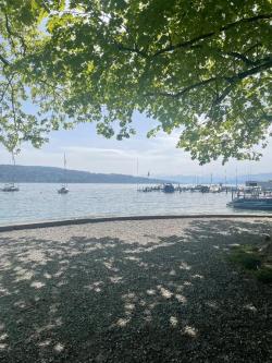 Liebe in einer treuen Beziehung gesucht in Basel - Bild 1