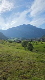 Lieber 50ziger sucht zwei 20er in Glarus - Bild 2