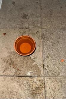 Magst du pisse Ich pisse so viel in Luzern - Bild 1