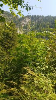 Mann sucht Frau für sex Treffen er ist 4×17 in Spiez - Bild 1
