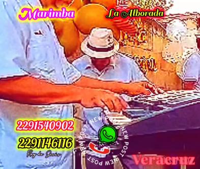 Marimbas for Veracruz parties63837099233539120