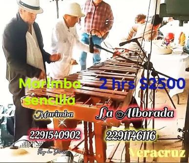 Marimbas for Veracruz parties63837099233539121