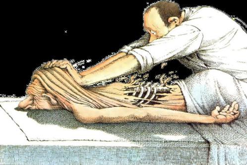 Massage – gegenseitig, open end, achtsam, emphatisch in Bern - Bild 3