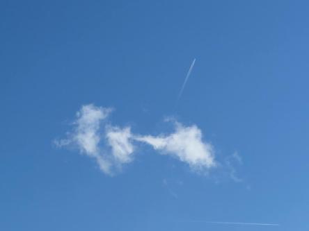 Mein Grosser möchte verwöhnt werden in Aarau - Bild 1