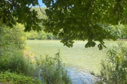 Natürliches Verlangen Outdoor ausleben in Grenchen - Bild 1