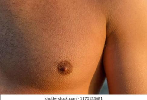 Nippelspiele Raum Luzern in Luzern - Bild 1